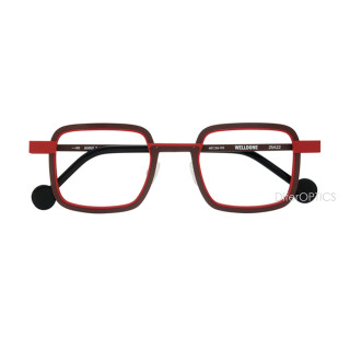 Anne et Valentin WELLDONE 25a22