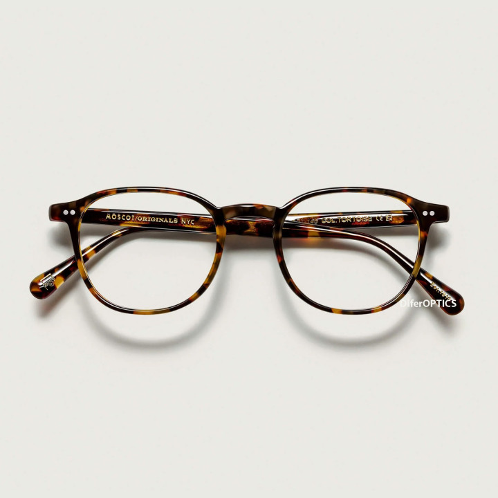 The Arthur in Tortoise