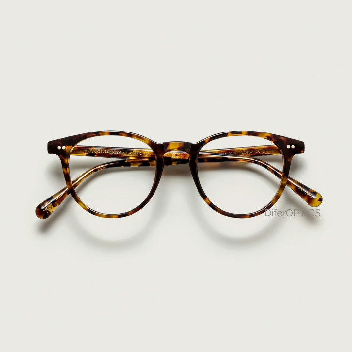 The Jared in Tortoise
