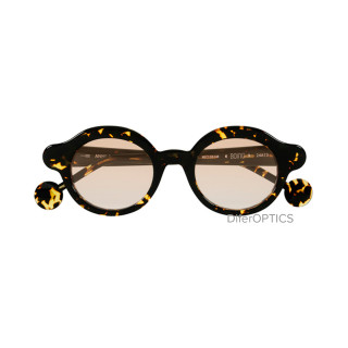 Anne et Valentin Boing 24A13