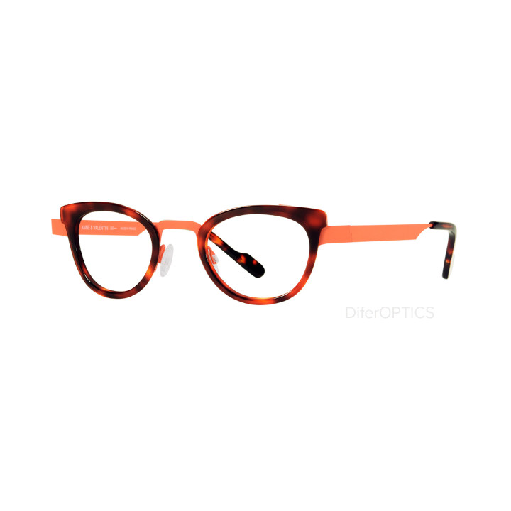Anne et Valentin FEIST 8A11 (vista 3q)