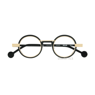 Anne et Valentin Wellok 26A31
