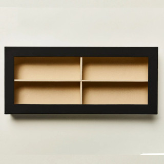 Moscot collector case
