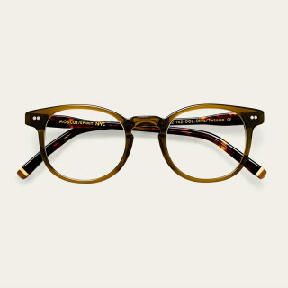 Moscot Mort Olive Tortoise