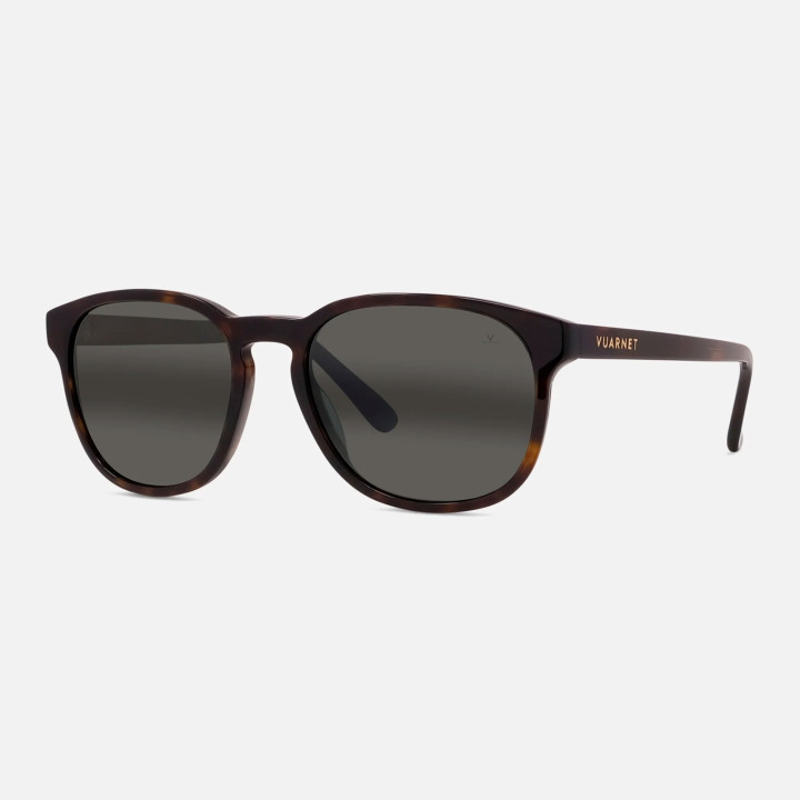 BELVEDERE 02
Tortoise - Grey Polarlynx 3q