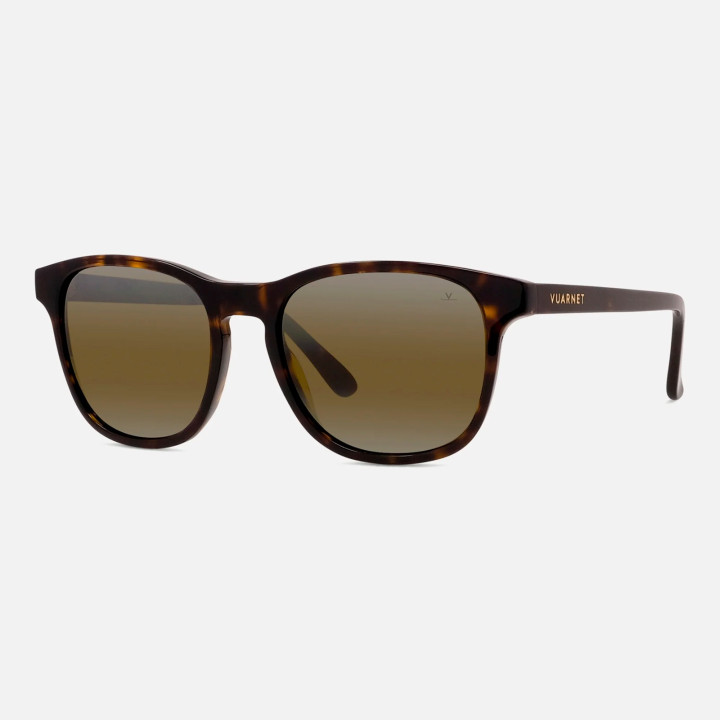 BELVEDERE 03
Tortoise - Skilynx 3q