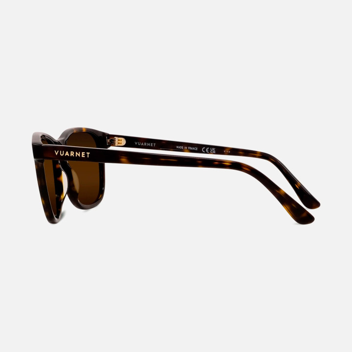 BELVEDERE 03
Tortoise - Skilynx prof